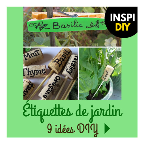 vignette-etiquettes-plantes
