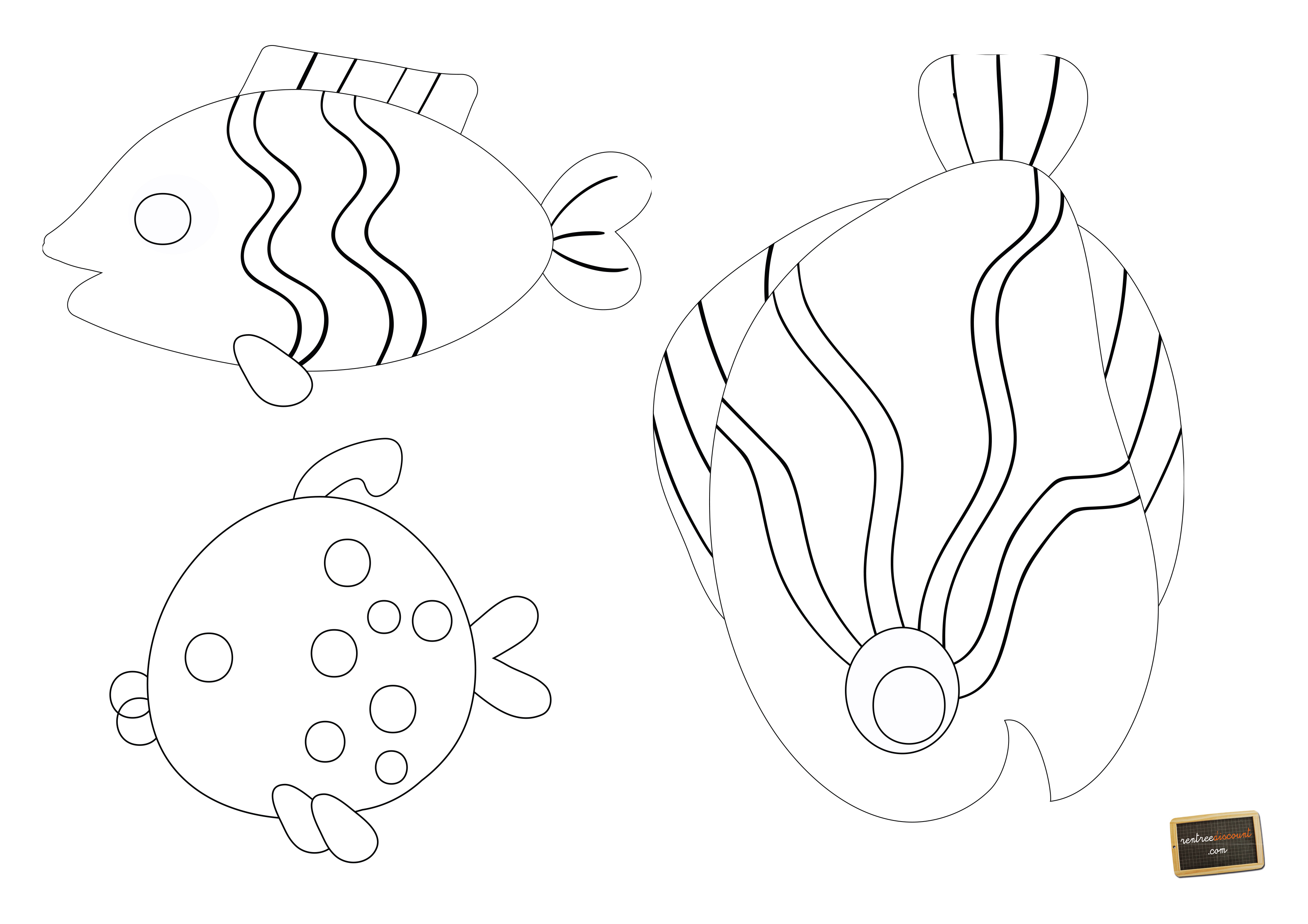 poisson-avril-rentreediscount.com