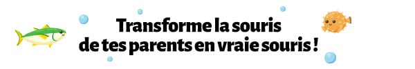 title-bis-blog-souris