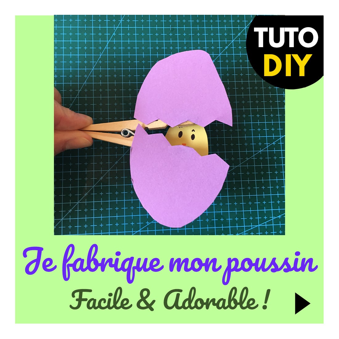 vignette-blog-poussin