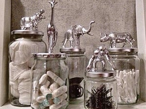 blog-recycler-animaux-2