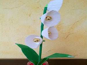 blog-muguet-pro-2