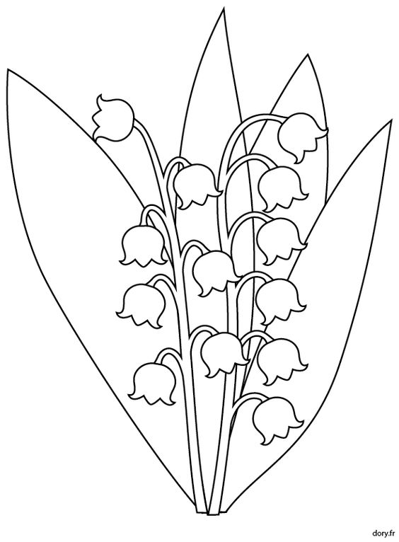 muguet-coloriage-1