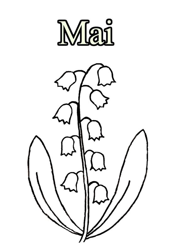 muguet-coloriage-3