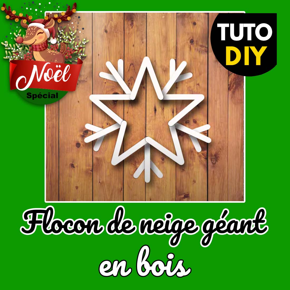 vignette-blog-flocon-de-neige-geant