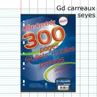 Copies 21 x 29,7 cm - Grands carreaux